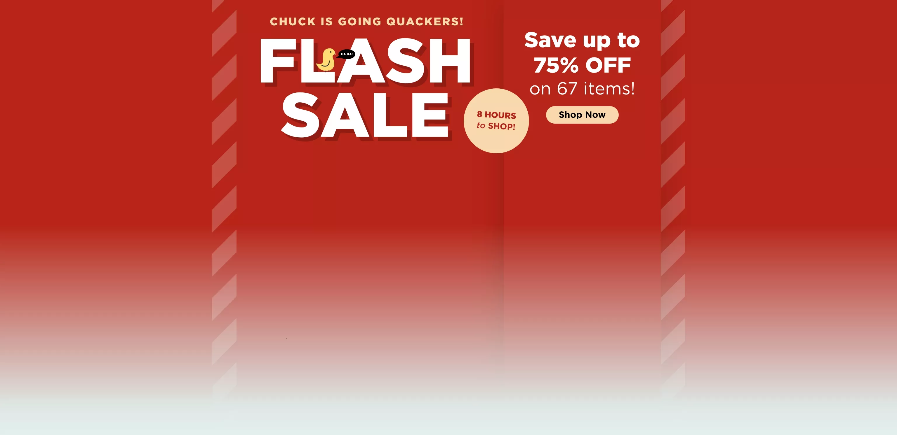 Flash Sale