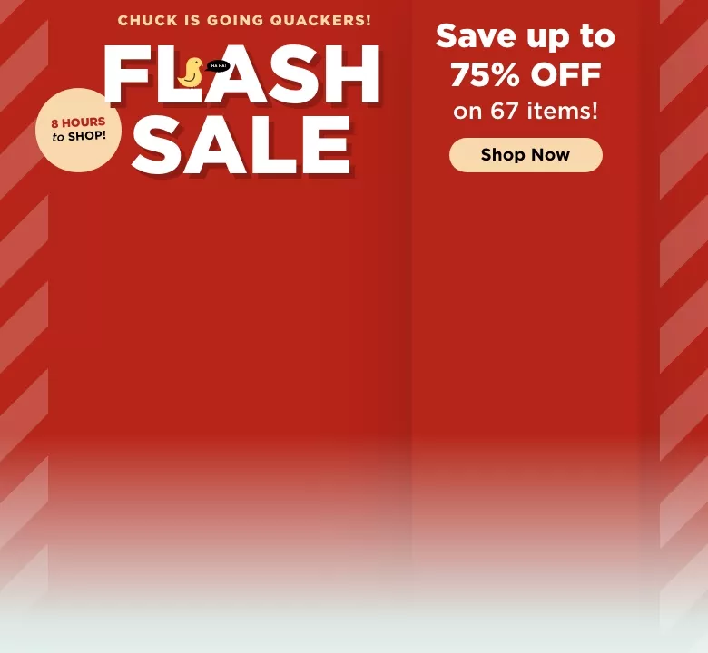 Flash Sale