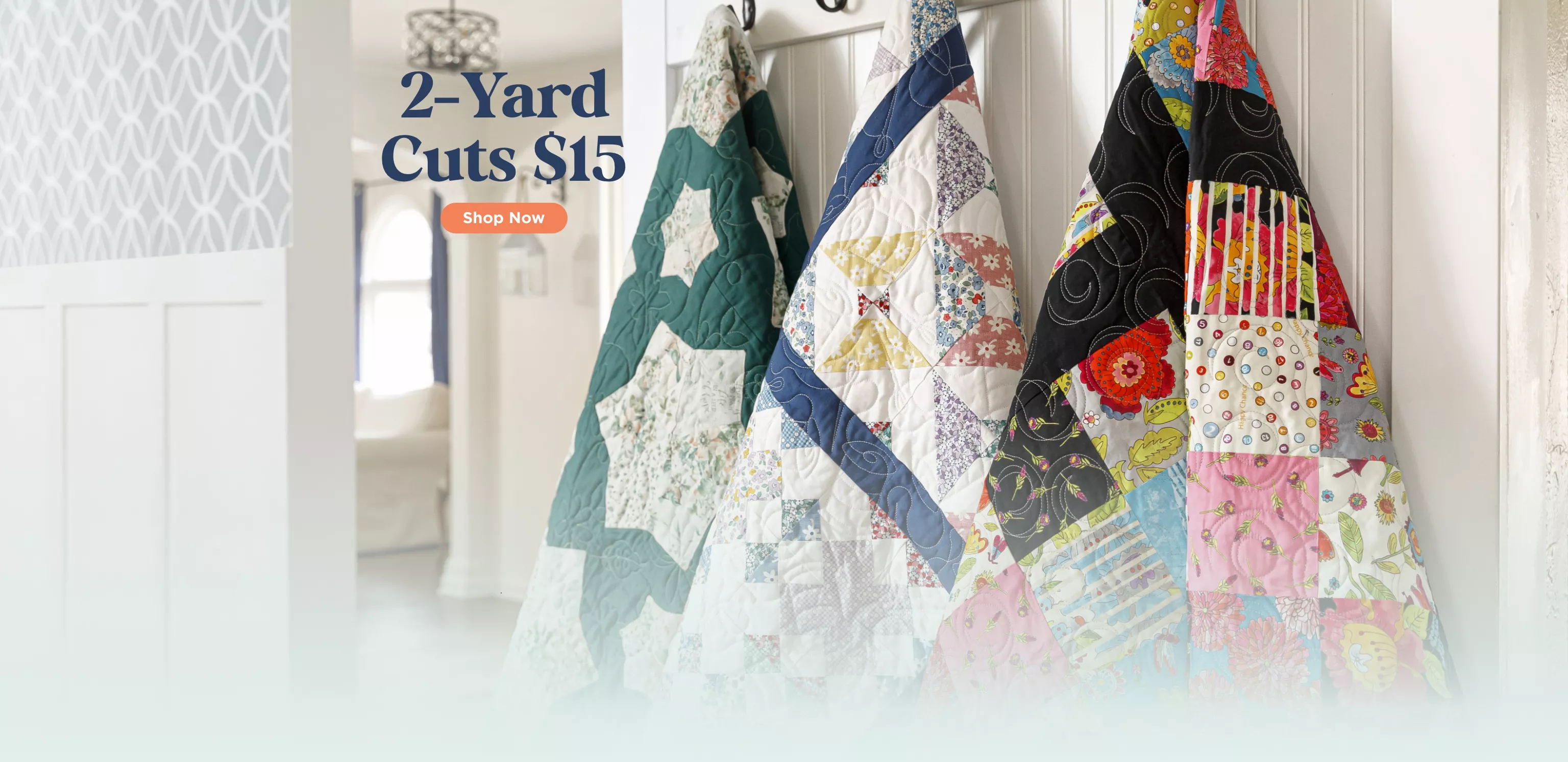 Solids & Basics Sale