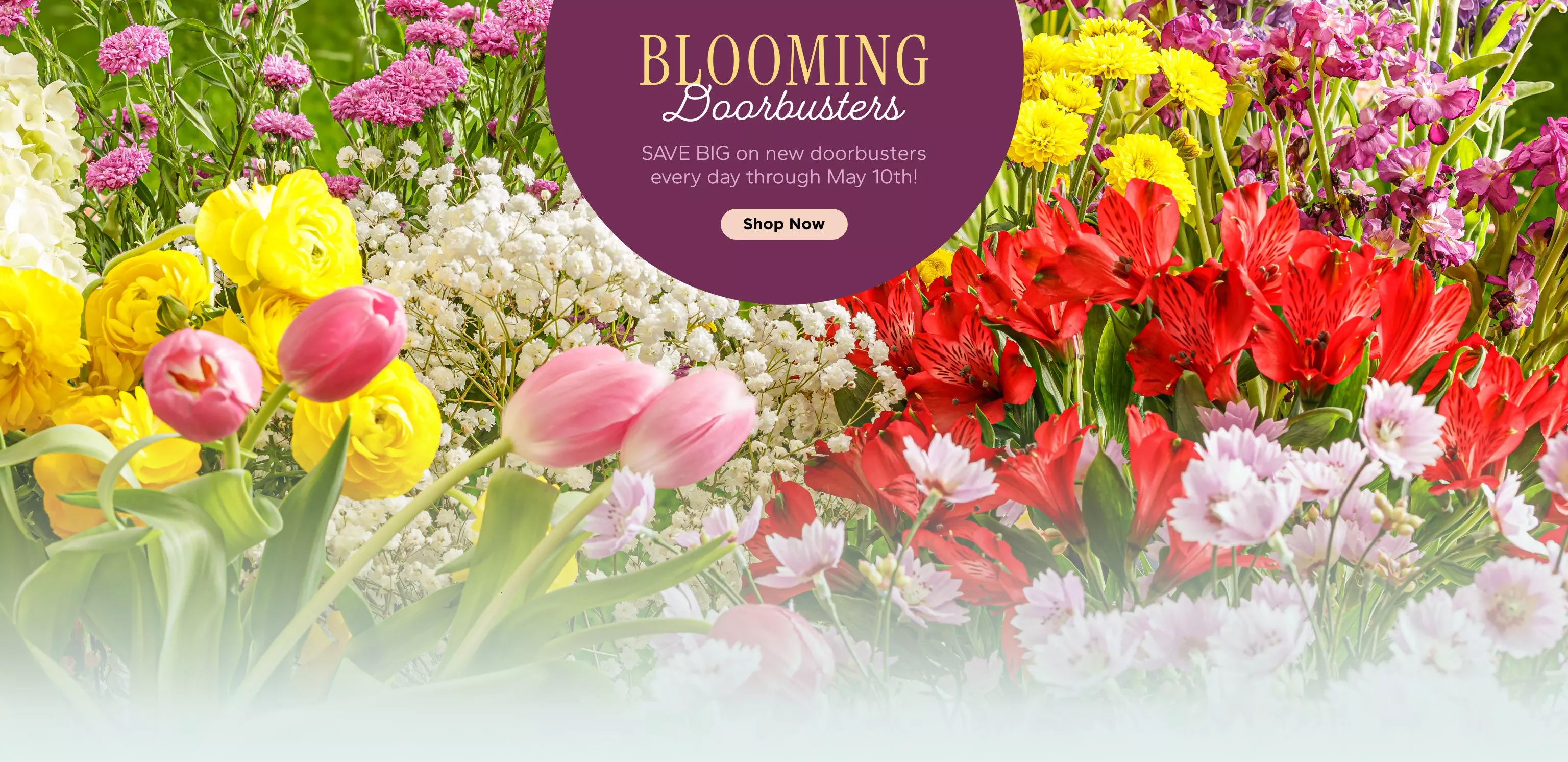 Blooming Doorbusters