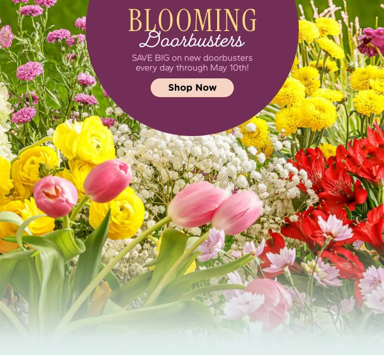 Blooming Doorbusters