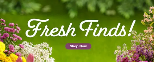 Sale Page