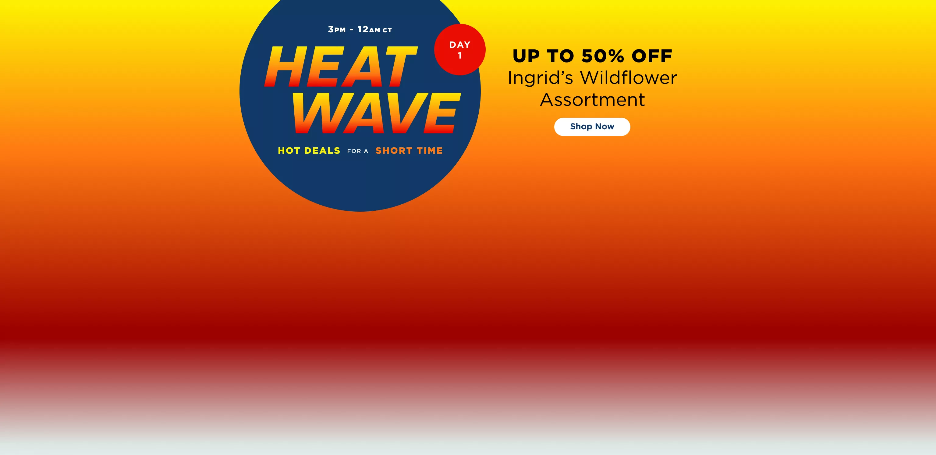 Flash Sale