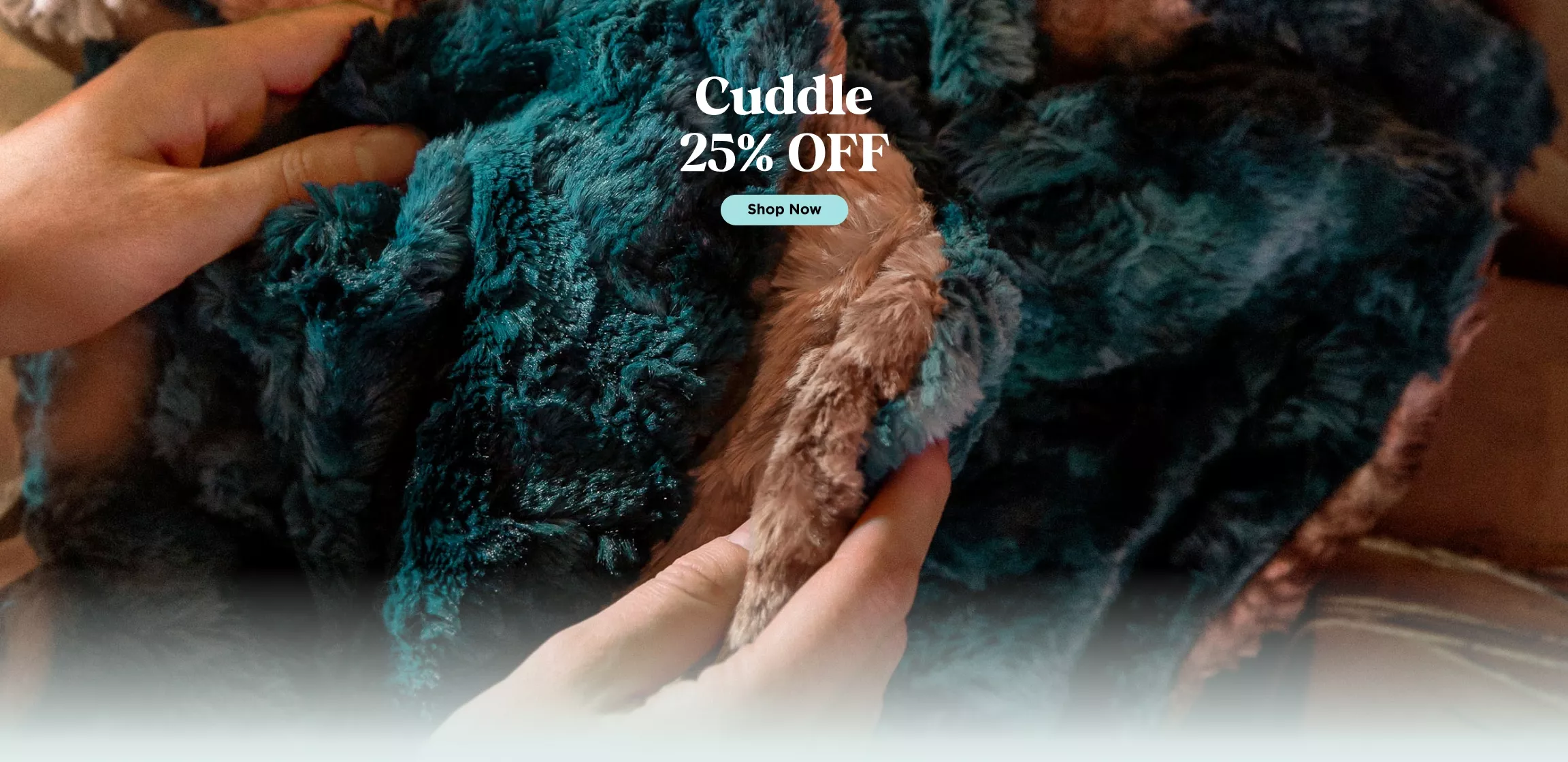 Cuddle Sale