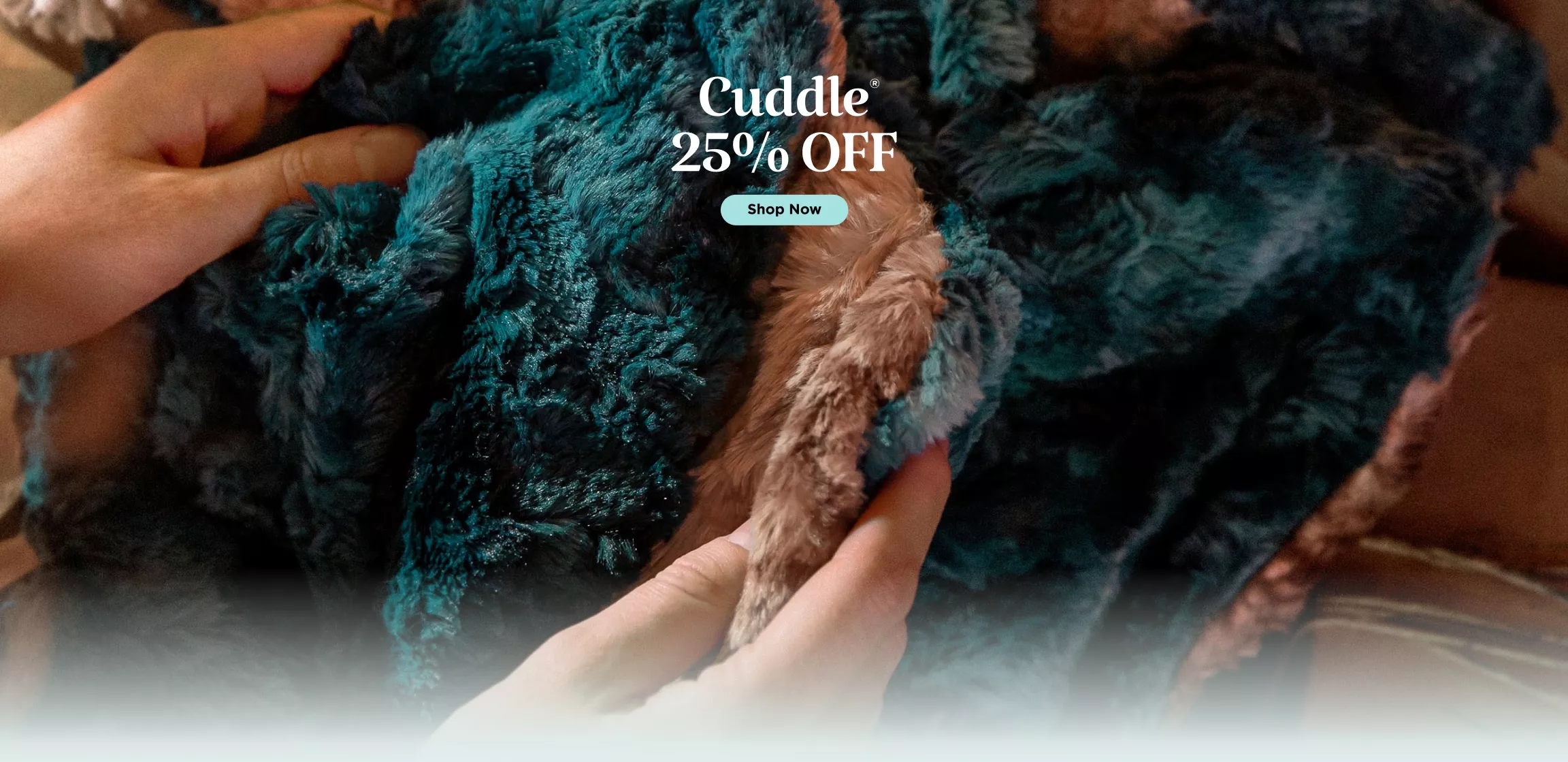 Cuddle Sale