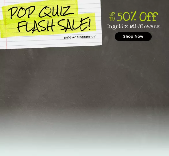 Flash Sale
