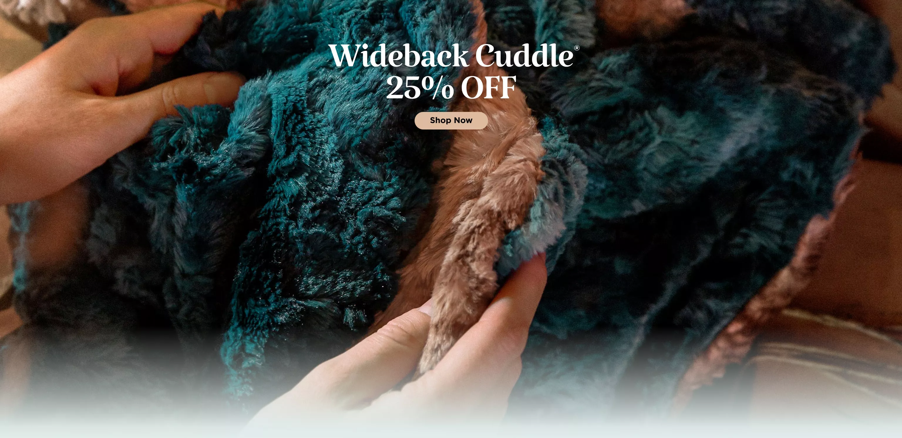 Cuddle Sale