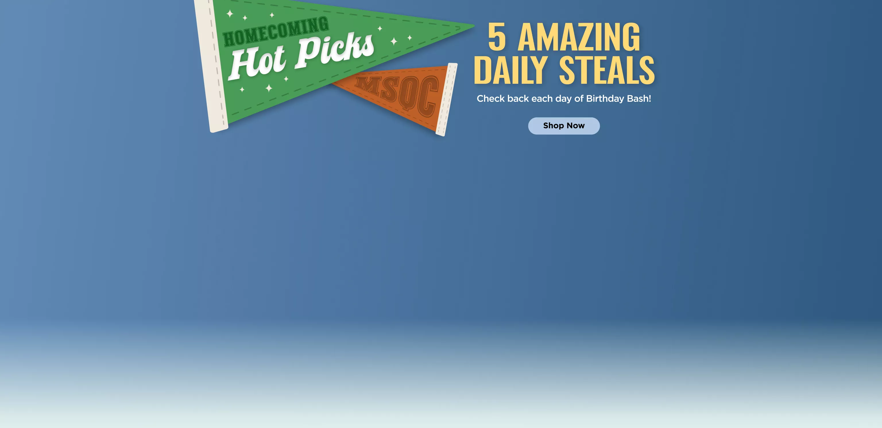 5 Daily Steals
