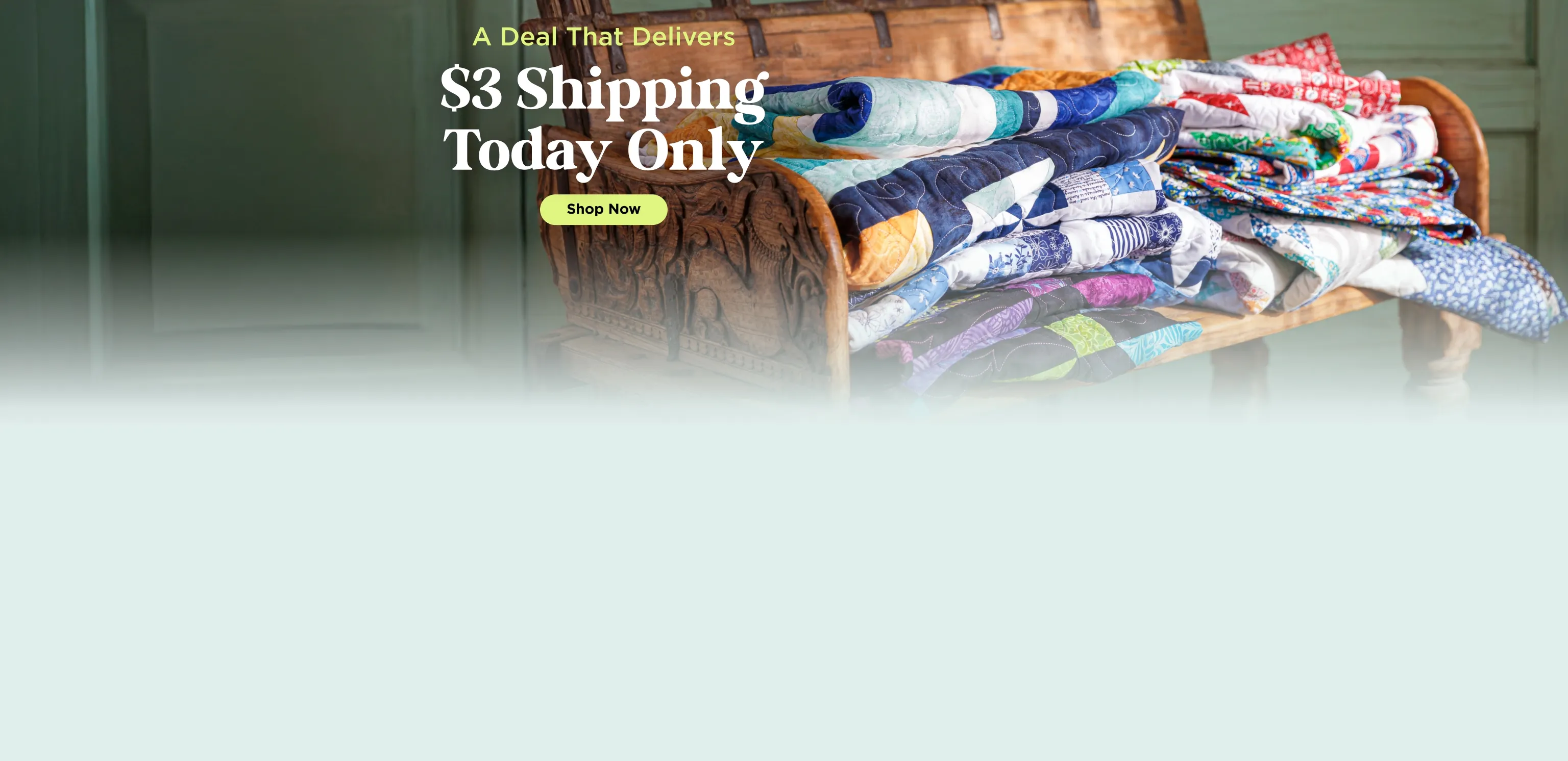 $3 Shipping Today Only