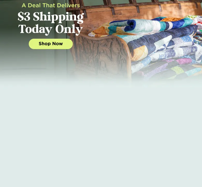 $3 Shipping Today Only