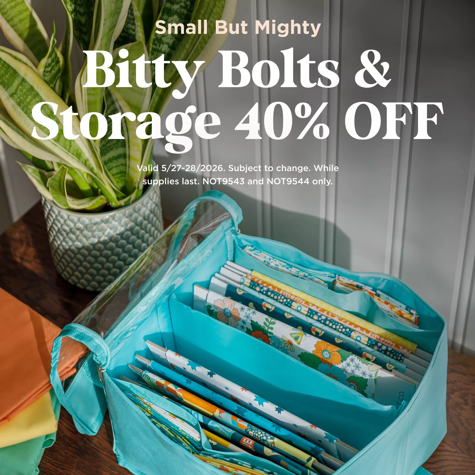 Bitty Bolts & Storage 40% Off