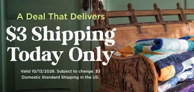 $3 Shipping Today Only
