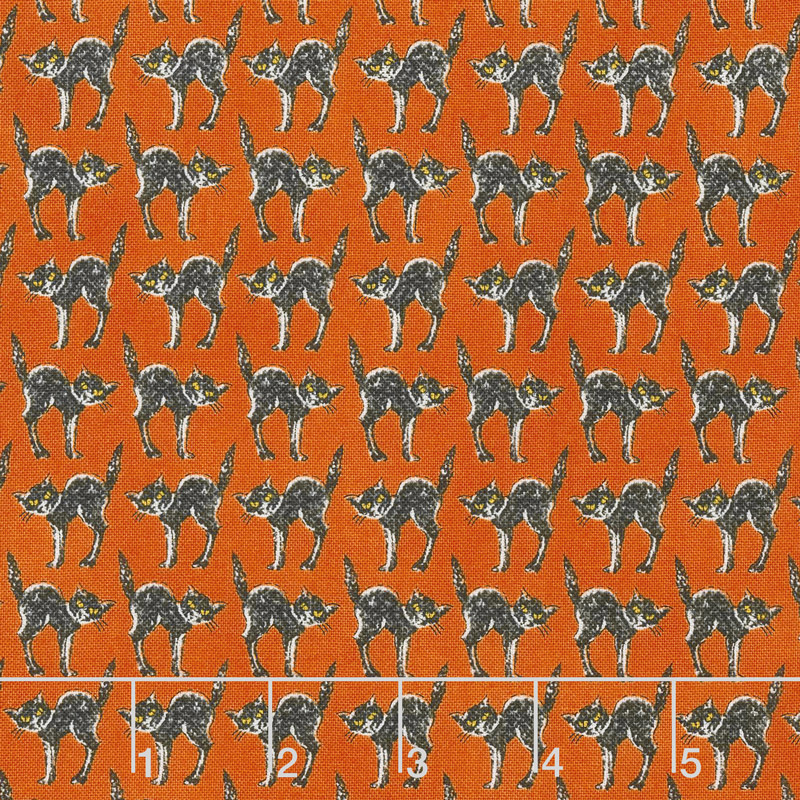 Bewitching - Creepy Cats Pumpkin Yardage
