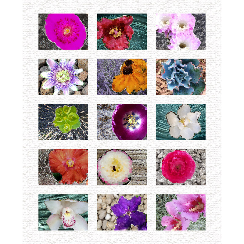 Homeward - Flower Garden Multi Digitally Printed Panel