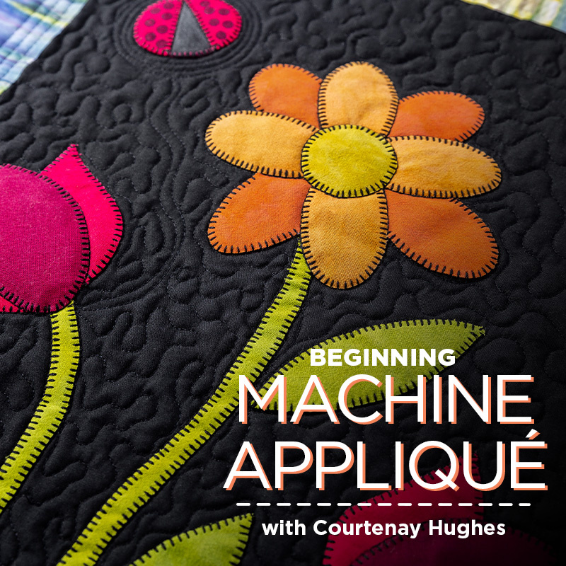 buy quilting product Beginning Machine Appliqué ECLASS0005