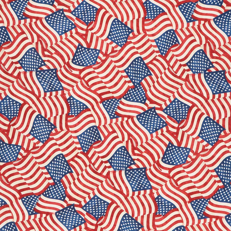 America, My Home - Packed Flags Multi Yardage
