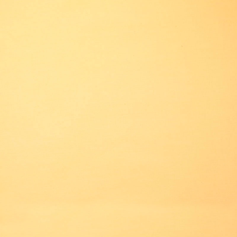 Bella Solids - Canary Yardage