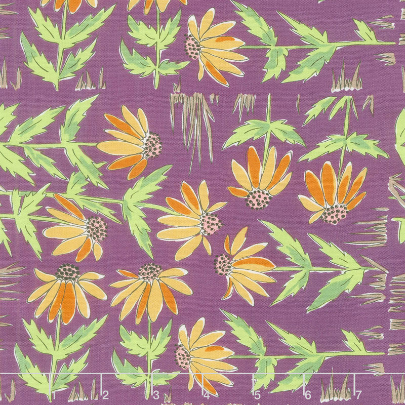 Color Fusion - Daisy Plum Yardage