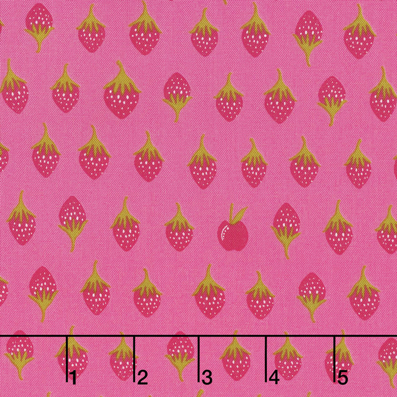 Road Trip - Apples Sharp Yardage