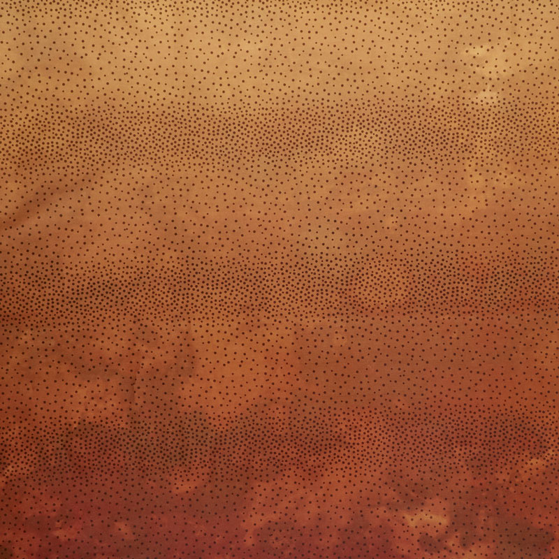 Diaphanous - Ombre Spice Digitally Printed Yardage