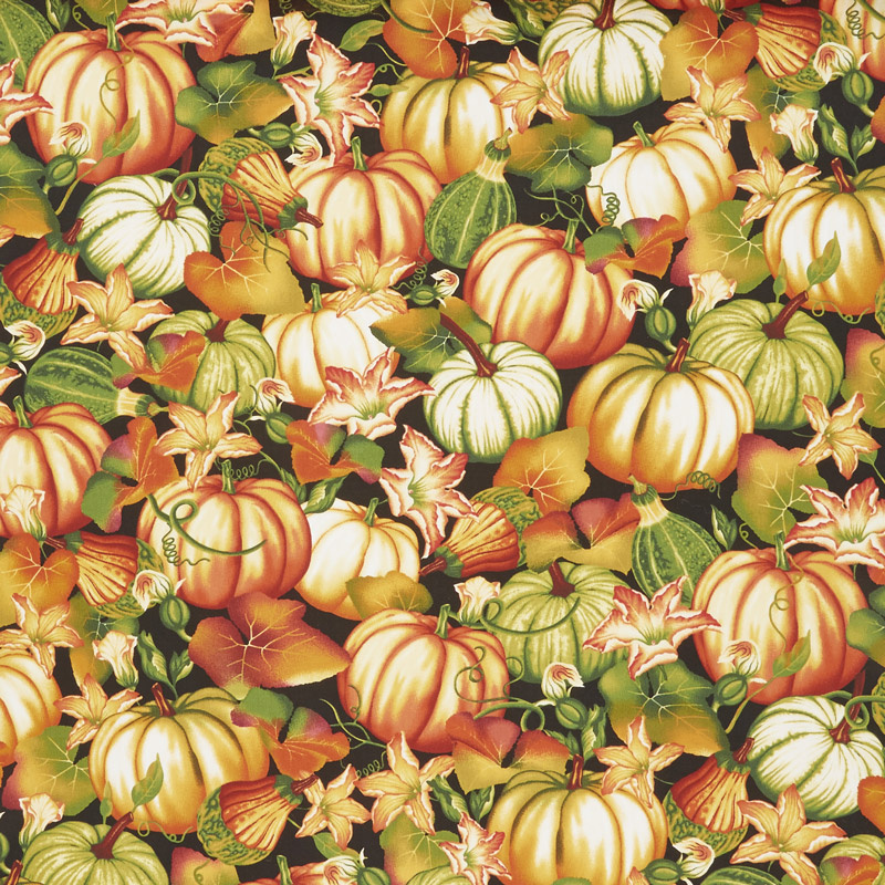 Autumn Time - Pumpkin Patch Black Yardage
