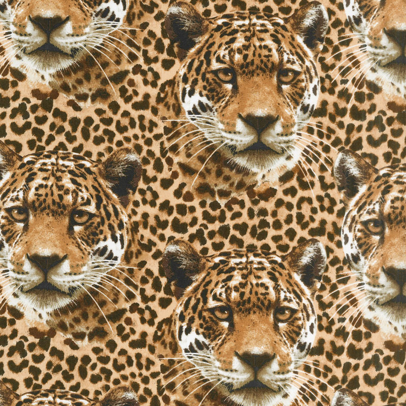 On the Wild Side - Leopard Faces Brown Yardage