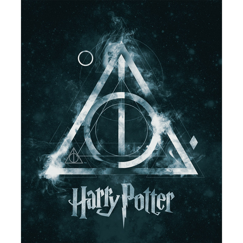 Wizarding World - Harry Potter Deathly Hallows Panel