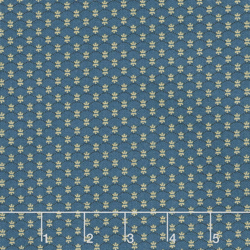 Mrs. Miller's Apprentice - Quilting Bee Blue Yardage