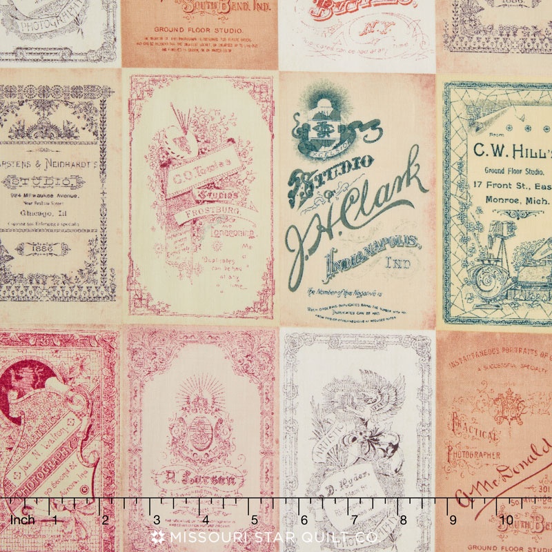 Eclectic Elements 2 Multi Yardage Tim Holtz Coats & Clark