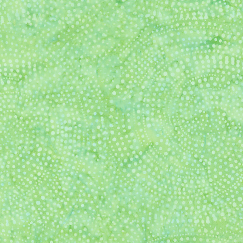 Tonga Batiks - Colorwheel Rainbow Dotty Spiral Apple Yardage