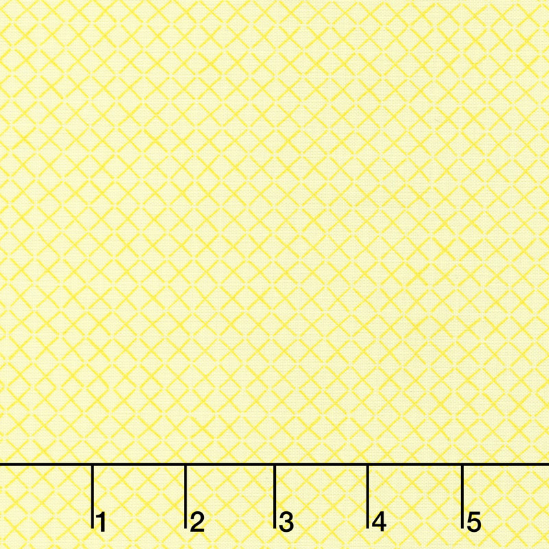Cottage Joy - X's Yellow Yardage