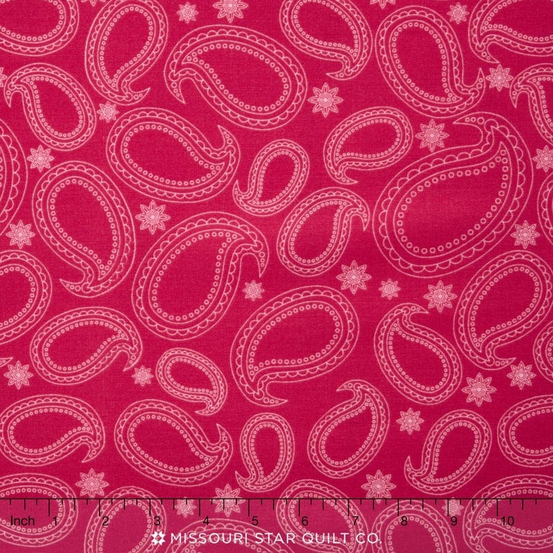 Primavera - Primavera Pretty Paisley Pink Yardage