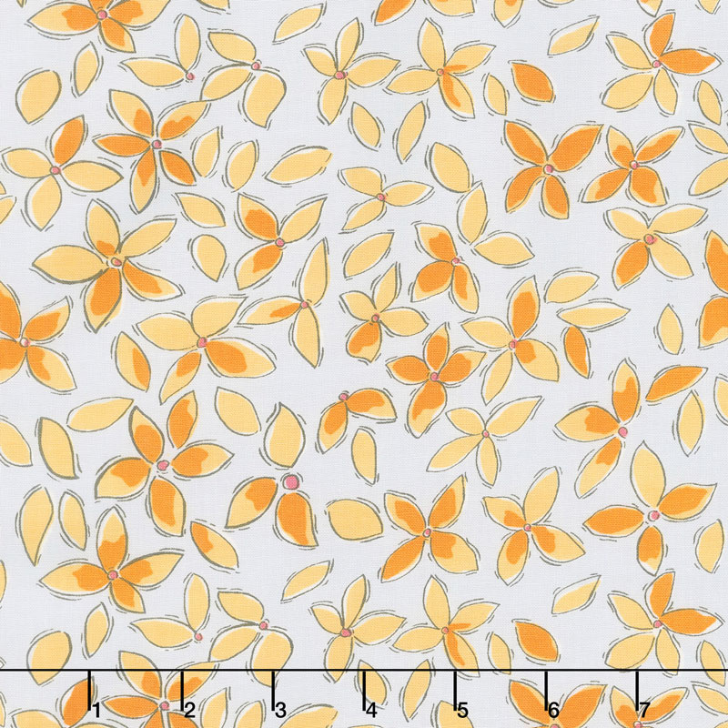 Color Fusion - Pointed Petal Gray Yardage