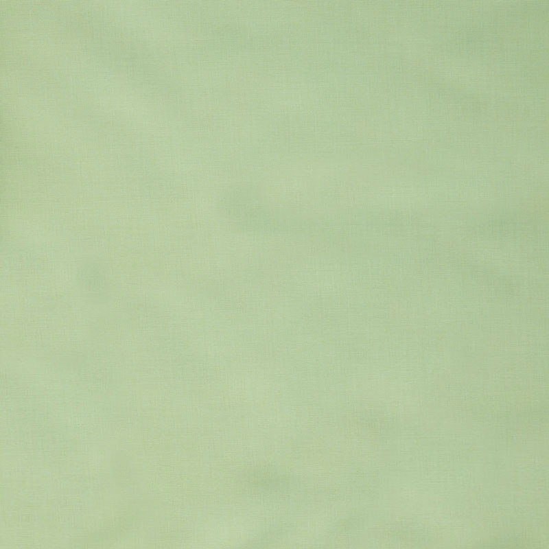 Designer Solids - Asparagus Yardage