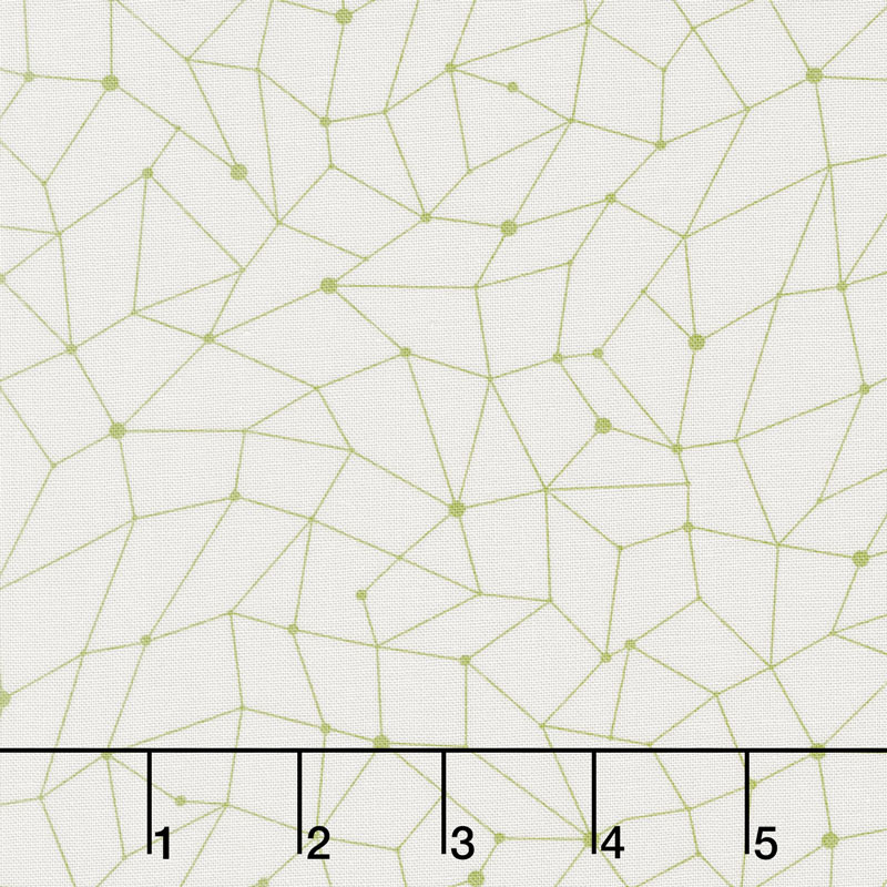 Modern Backgrounds Colorbox - Net Fog Fern Yardage
