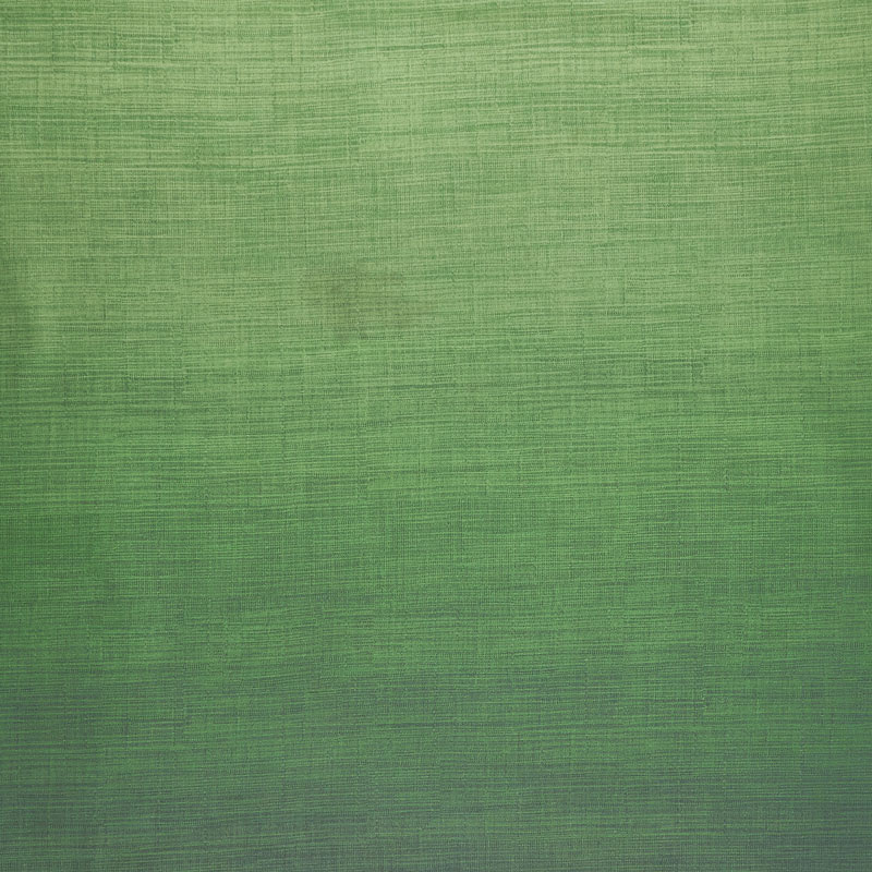 Fresh Hues Ombre - Hunter Digitally Printed Yardage