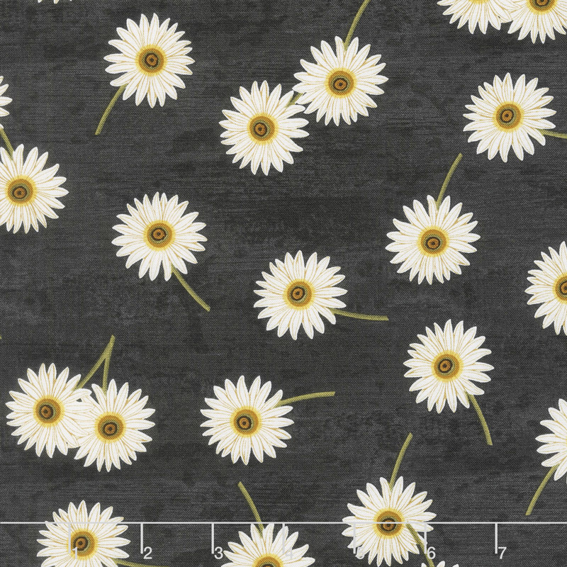 Sunset Blooms - Daisies Black Yardage