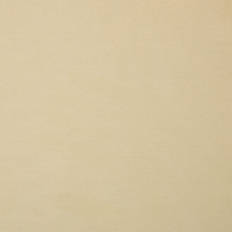 Canvas/Duck Cloth - Cream Yardage