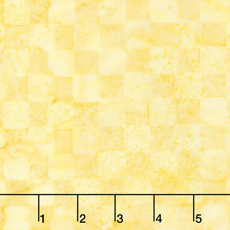Forget Me Not Batiks - Check Cornmeal Yardage
