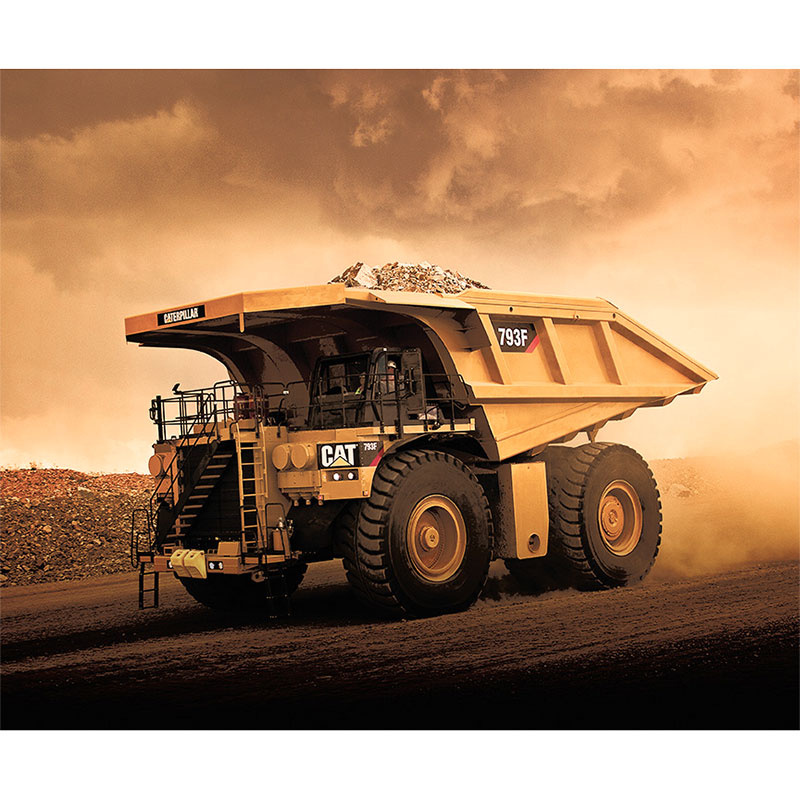 CAT Dump Truck Multi Digitally Printed Panel Caterpillar Inc....