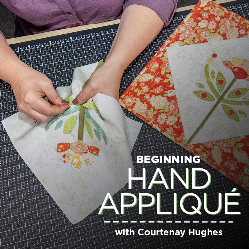 buy quilting product Beginning Hand Appliqué ECLASS0003