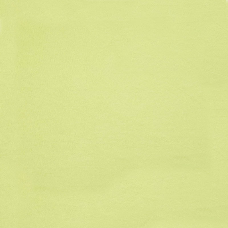 Cuddle® Solids - Apple Green 60