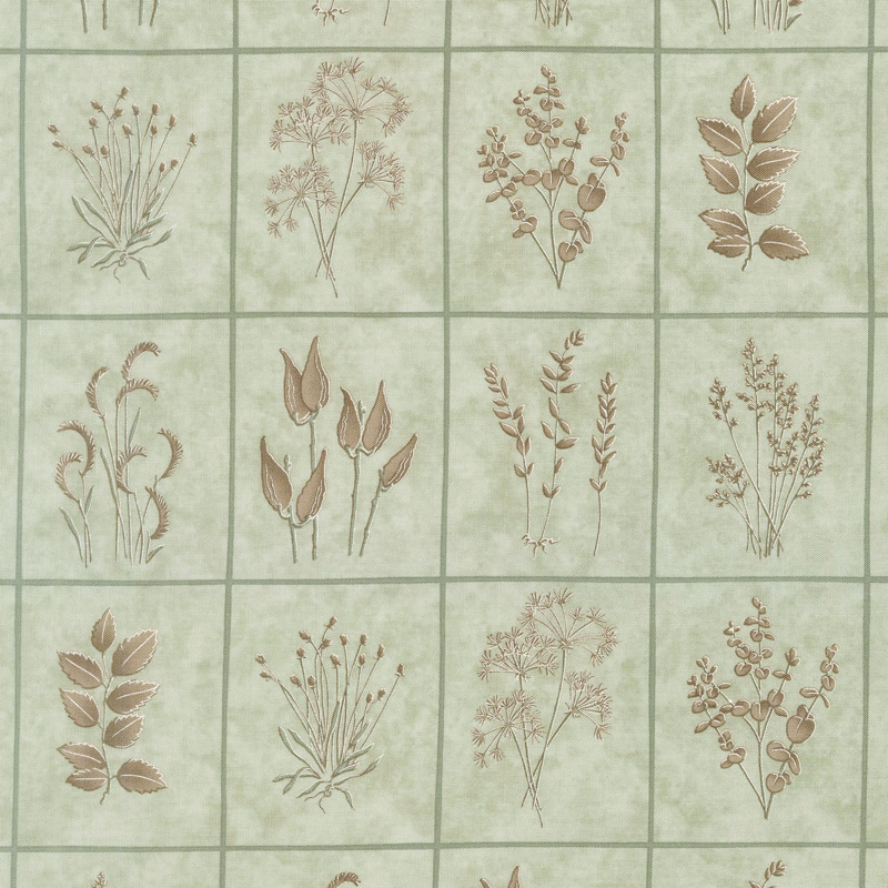 Prairie Grass - Windows Pepper Grass Yardage