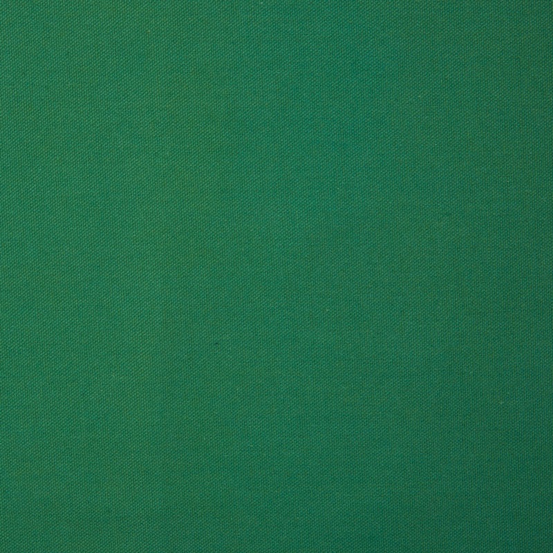 Canvas/Duck Cloth - Delaware Grass Yardage