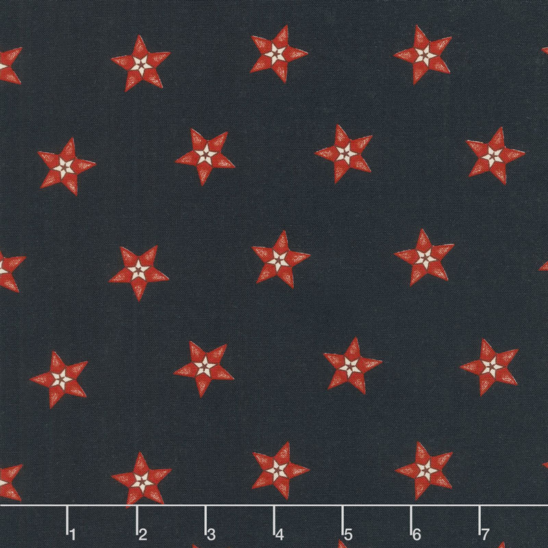Star & Stripe Gatherings - Star in a Star Navy Yardage