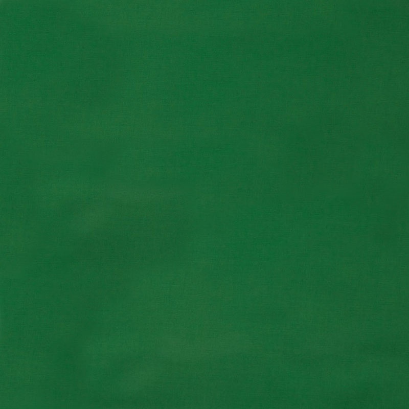 Kona Cotton Jungle Yardage Robert Kaufman Fabrics Robert Ka...