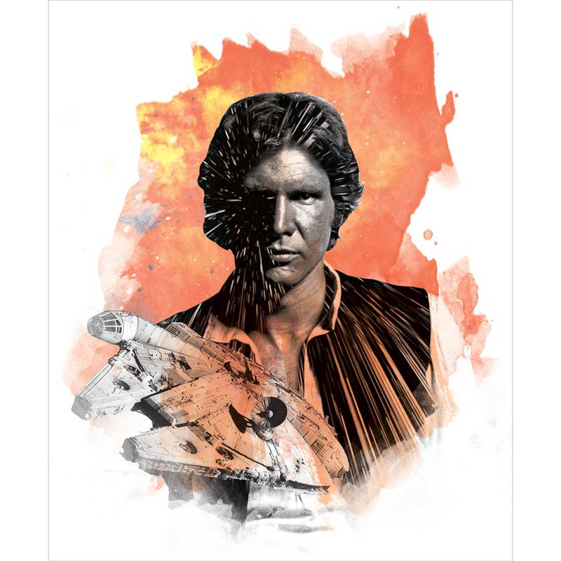 Star Wars - Han Solo Orange Panel