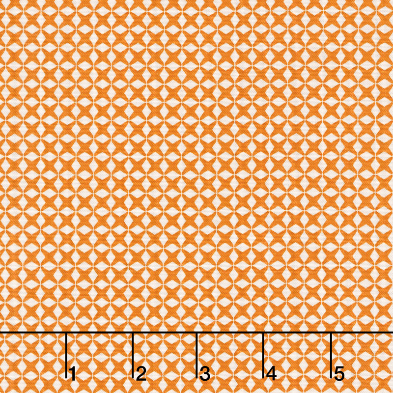 Aunt Grace's Flower Pots - Criss Cross Orange Yardage