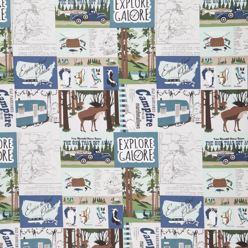 Gone Camping - Main Teal Yardage