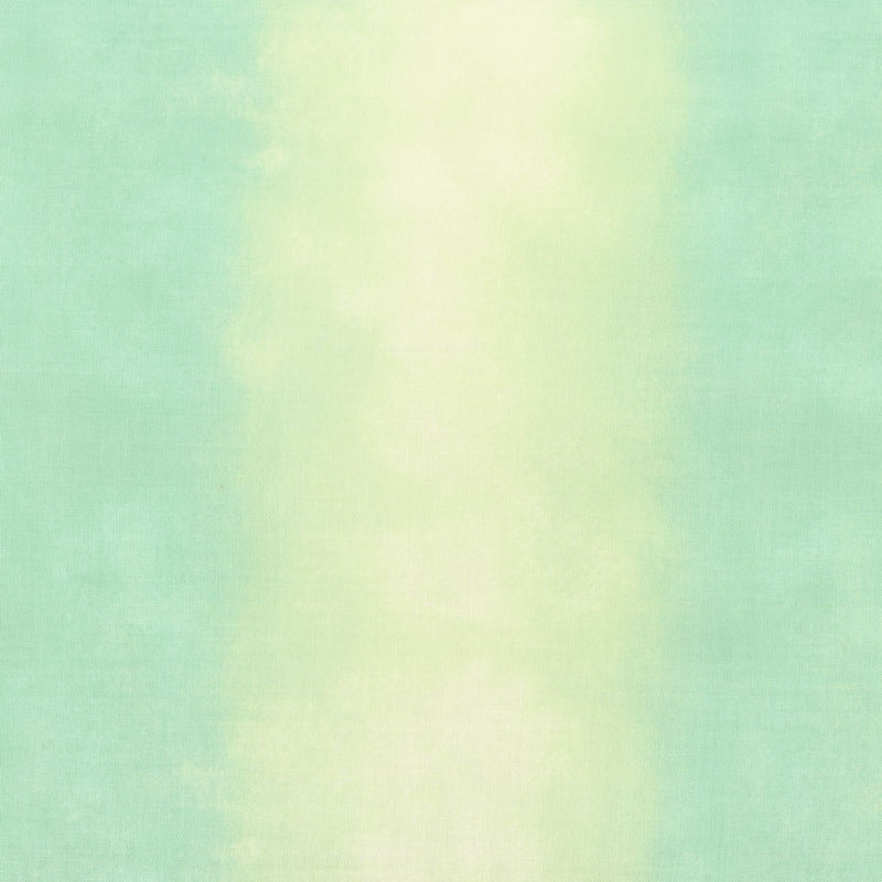Wilmington Essentials - Ombre Washart Cactus Yardage